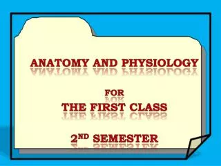 Anatomy and Physiology For The First Class 2 nd Semester