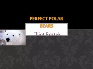 Perfect Polar Bears