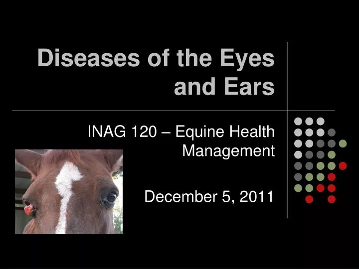diseases of the eyes and ears