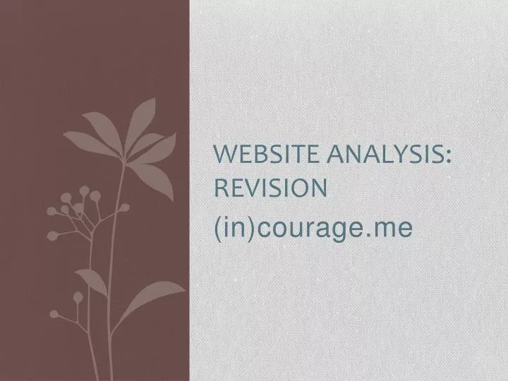 website analysis revision