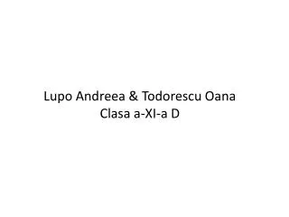 lupo andreea todorescu oana clasa a xi a d
