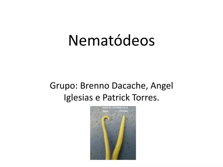 nemat deos