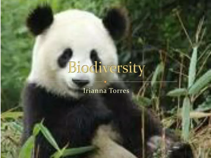 biodiversity