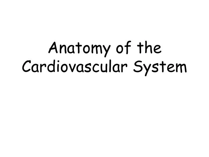 anatomy of the cardiovascular system