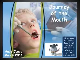 Journey of the Mouth