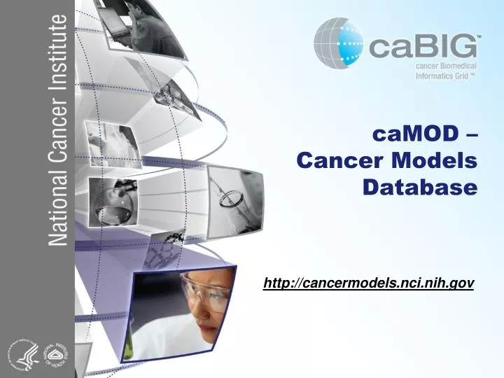 camod cancer models database