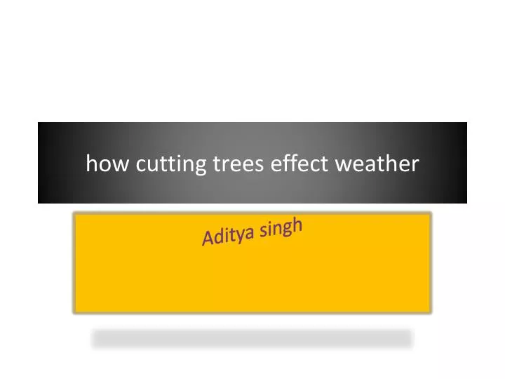 how cutting trees effect weather