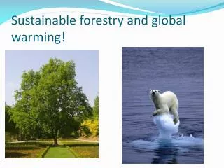 Sustainable forestry and global warming!