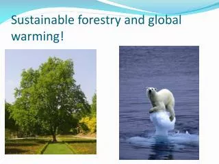 sustainable forestry and global warming