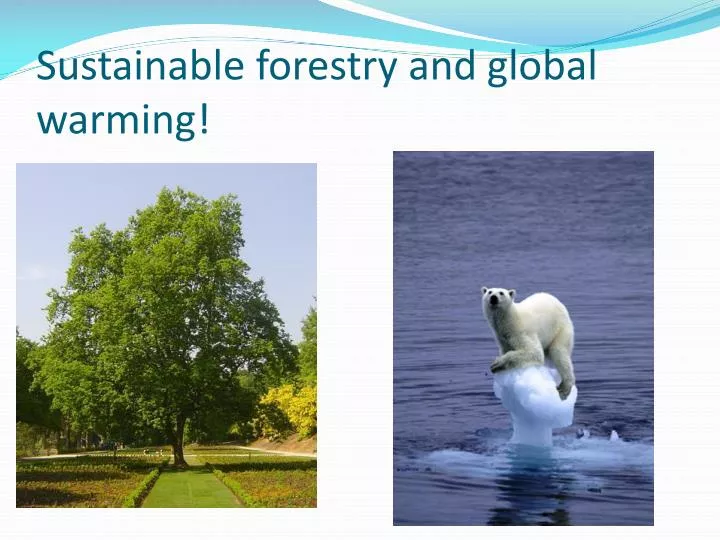 sustainable forestry and global warming