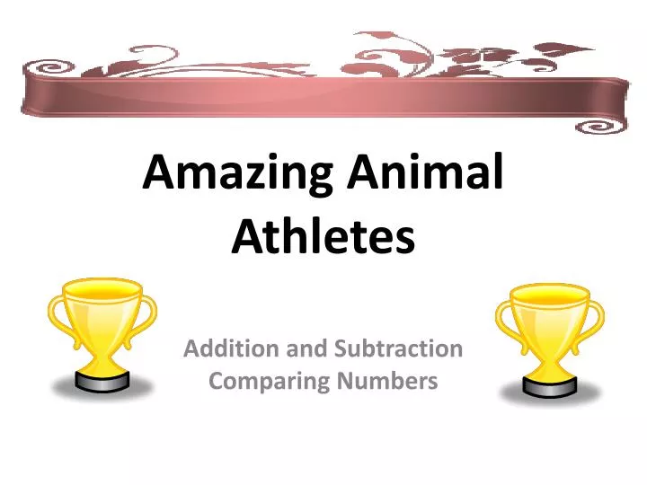 amazing animal athletes