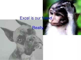 Excel is our friend. Really