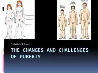 The Changes and Challenges of Puberty