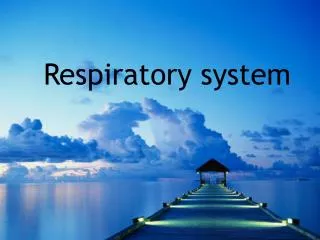 Respiratory system