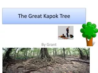 The Great Kapok Tree