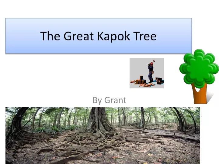 the great kapok tree