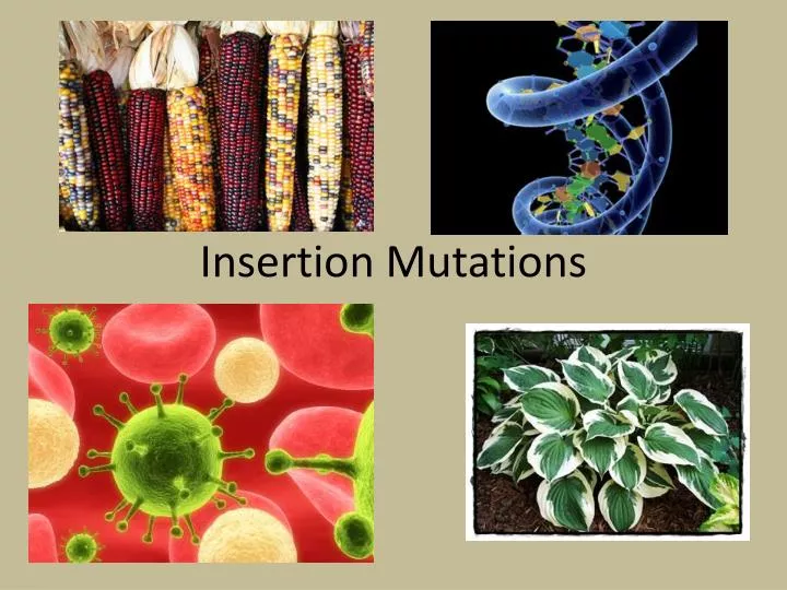 insertion mutations