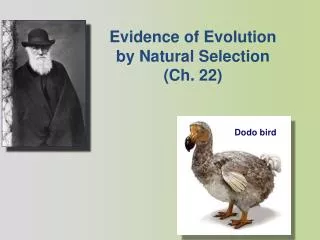 Evidence of Evolution by Natural Selection (Ch. 22)