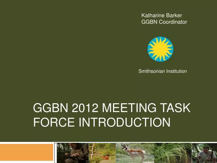 ggbn 2012 meeting task force introduction