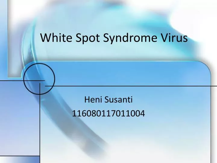 white spot syndrome virus