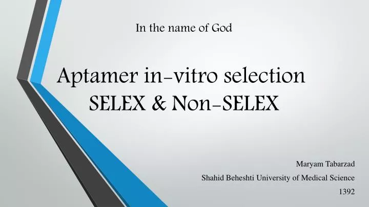 in the name of god aptamer in vitro selection selex non selex