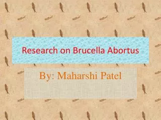 Research on Brucella Abortus