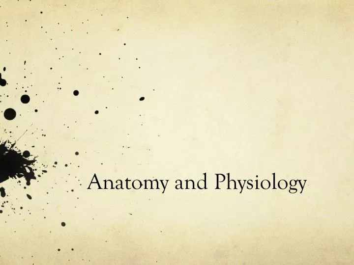 anatomy and physiology