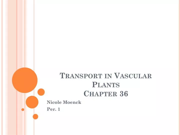transport in vascular plants chapter 36