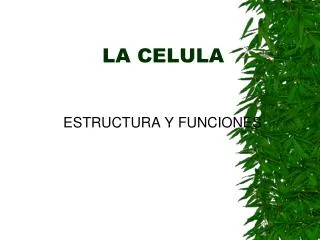 la celula