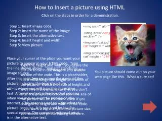 How to Insert a picture using HTML