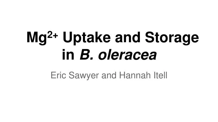 mg 2 uptake and storage in b oleracea