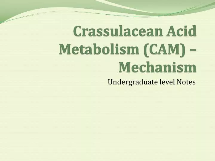 crassulacean acid metabolism cam mechanism