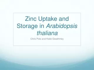 Zinc Uptake and Storage in Arabidopsis thaliana