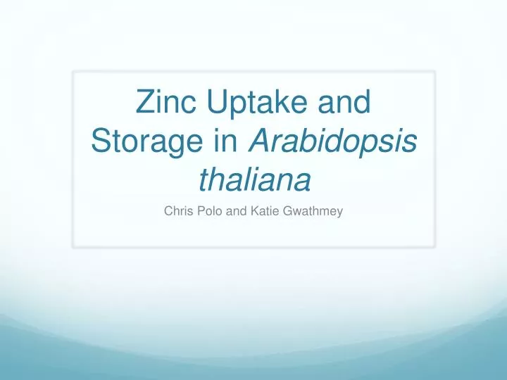 zinc uptake and storage in arabidopsis thaliana
