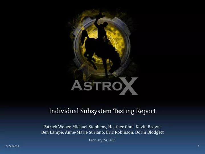 individual subsystem testing report
