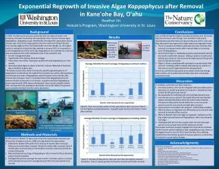 Exponential Regrowth of Invasive Algae Kappaphycus after Removal in Kane ‘ ohe Bay, O ‘ ahu
