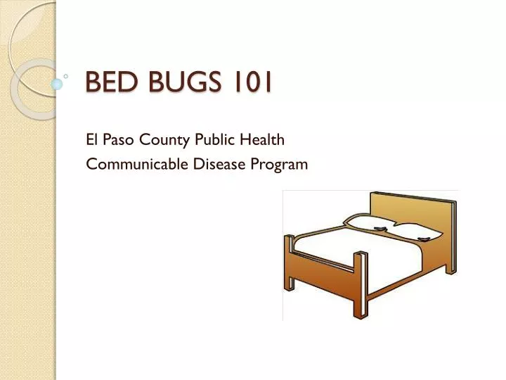 bed bugs 101