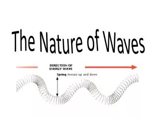the nature of waves
