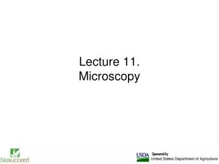 Lecture 11. Microscopy