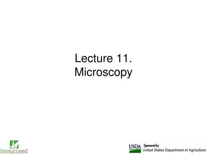 lecture 11 microscopy