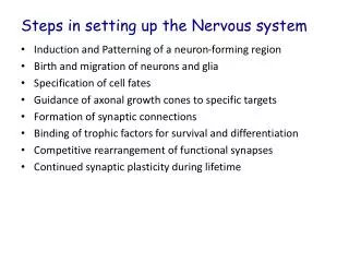 Steps in setting up the Nervous system