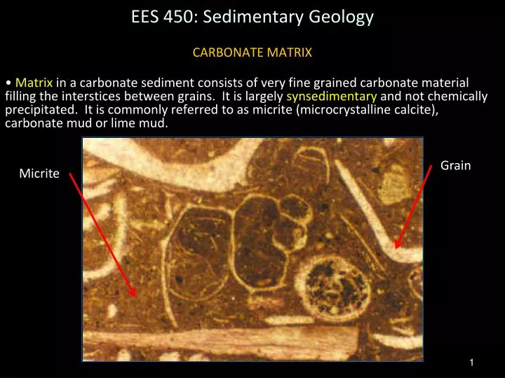 ees 450 sedimentary geology