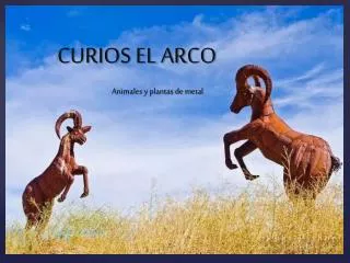 curios el arco