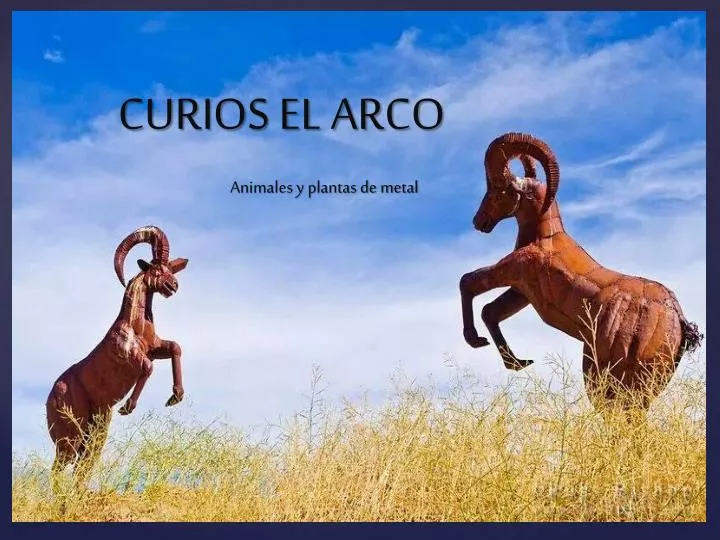 curios el arco