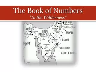 The Book of Numbers “In the Wilderness”