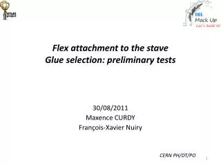 Flex attachment to the stave Glue selection: preliminary tests