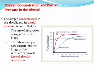 Oxygen Concentration and Partial Pressure in the Alveoli