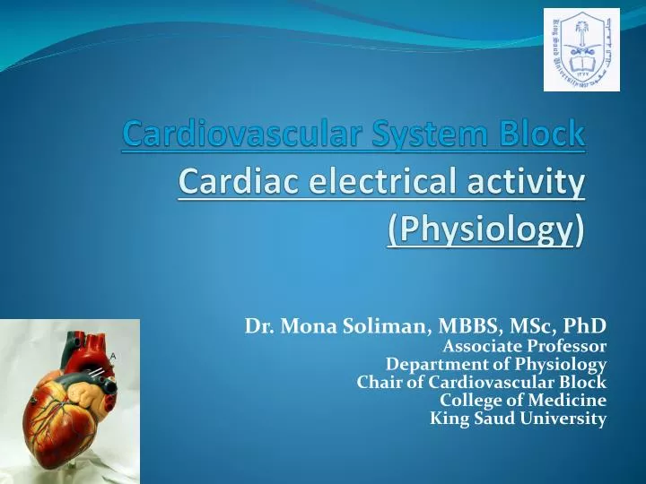 cardiovascular system block cardiac electrical activity physiology