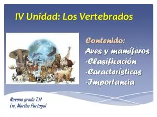 contenido aves y mam feros clasificaci n caracter sticas importancia