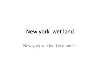 New york wet land